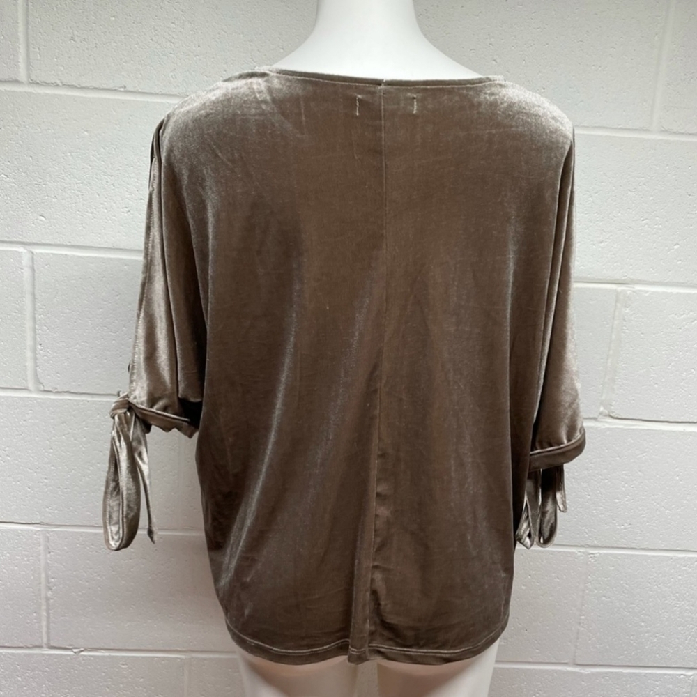 Simply Styled Tan Velvet Top - Picture 3 of 10